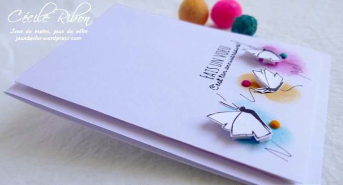 Carte CTS368 - P1160851