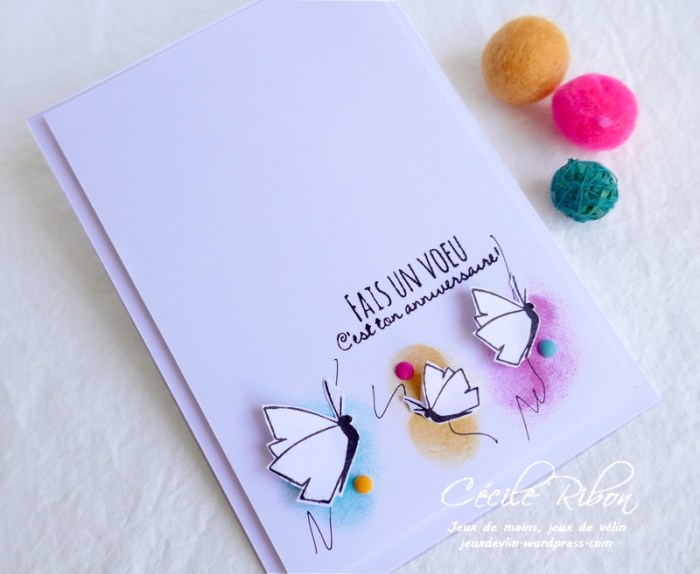 Carte CTS368 - P1160862