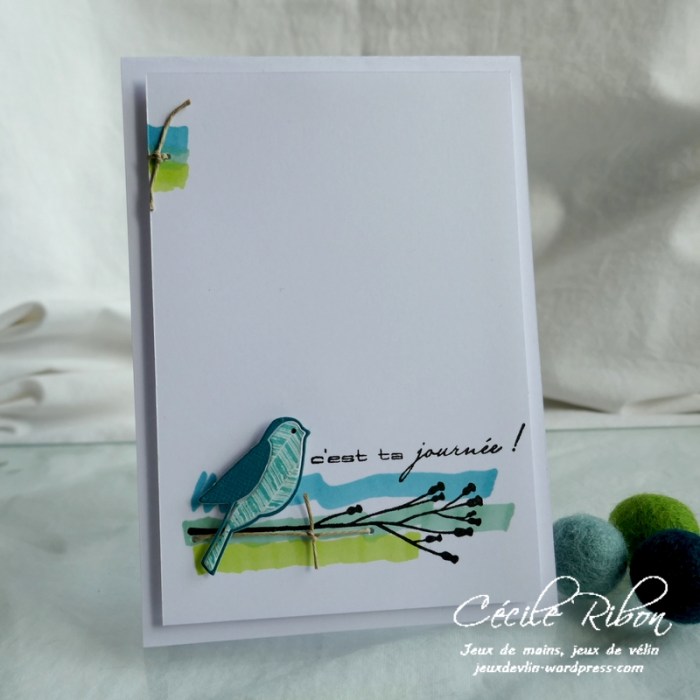 Carte CTS369 - P1170003