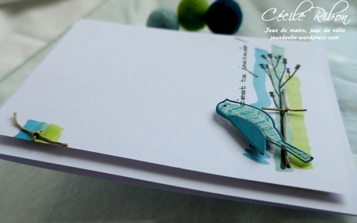 Carte CTS369 - P1170018