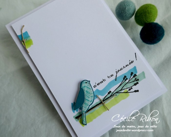 Carte CTS369 - P1170021