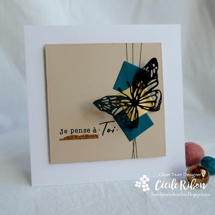 Carte FMS429 - P1160158