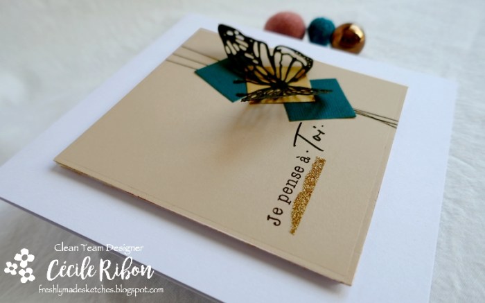 Carte FMS429 - P1160163