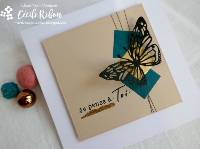 Carte FMS429 - P1160178