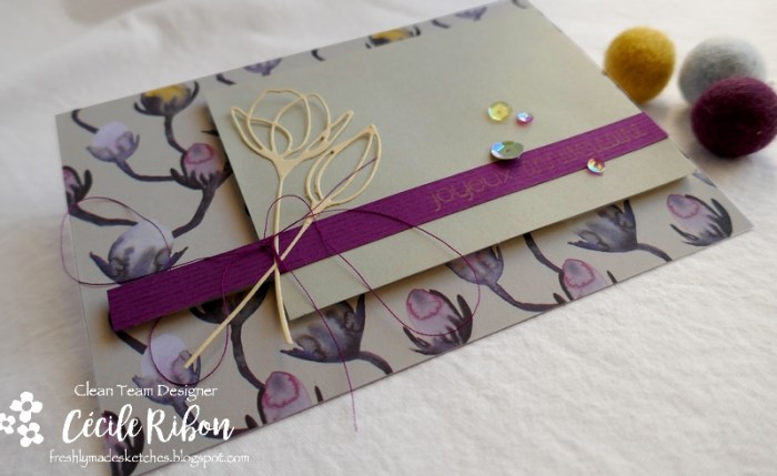 Carte FMS431 - P1160592