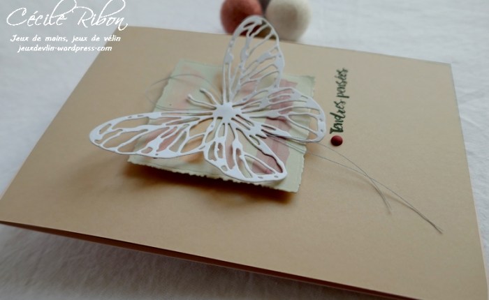 Tendres pensées …