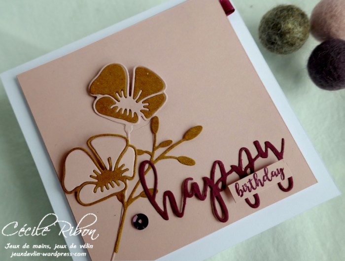 Carte AnnivF01 - P1170140