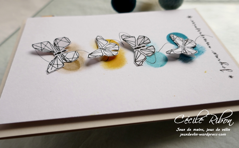 Carte CBBB31 - P1170275