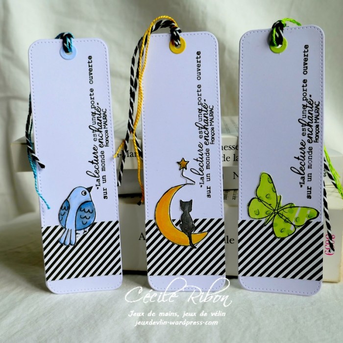 Carte CBBB32 - P1170360