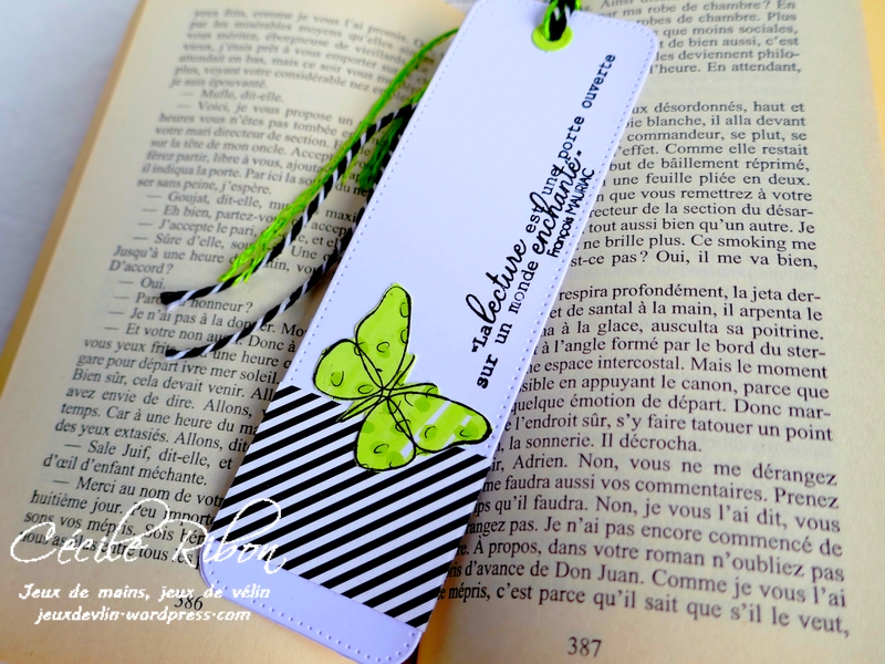 Carte CBBB32 - P1170368