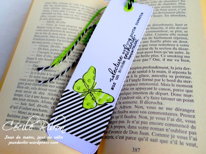 Carte CBBB32 - P1170368