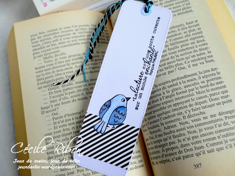 Carte CBBB32 - P1170370