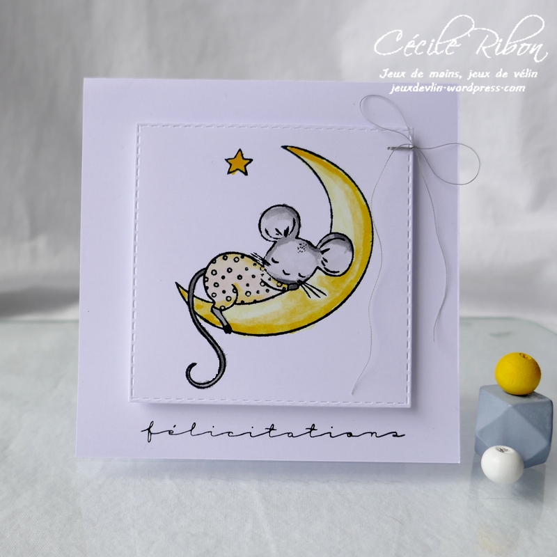 Carte CTD594 - P1170397