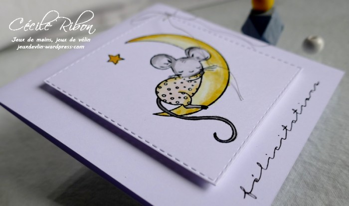 Carte CTD594 - P1170403