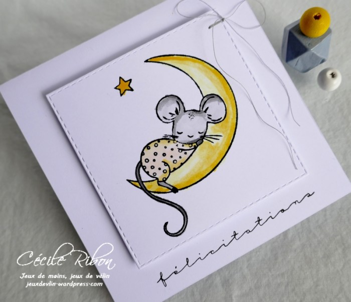 Carte CTD594 - P1170414