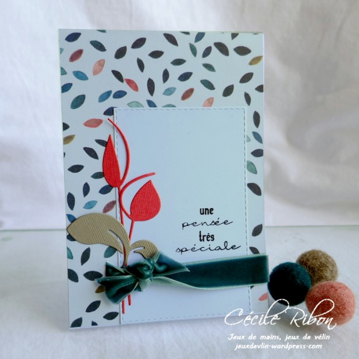 Carte CTS373 - P1170542