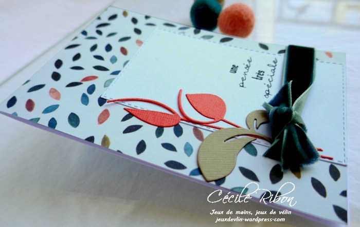 Carte CTS373 - P1170546