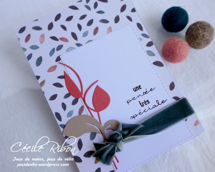 Carte CTS373 - P1170552