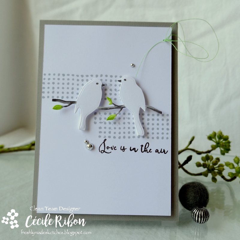 Carte FMS434 - P1170183