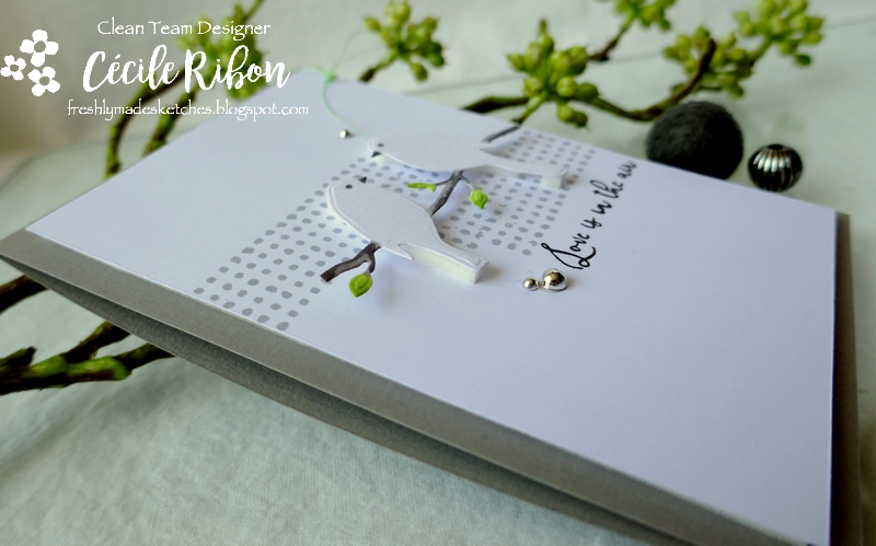 Carte FMS434 - P1170188