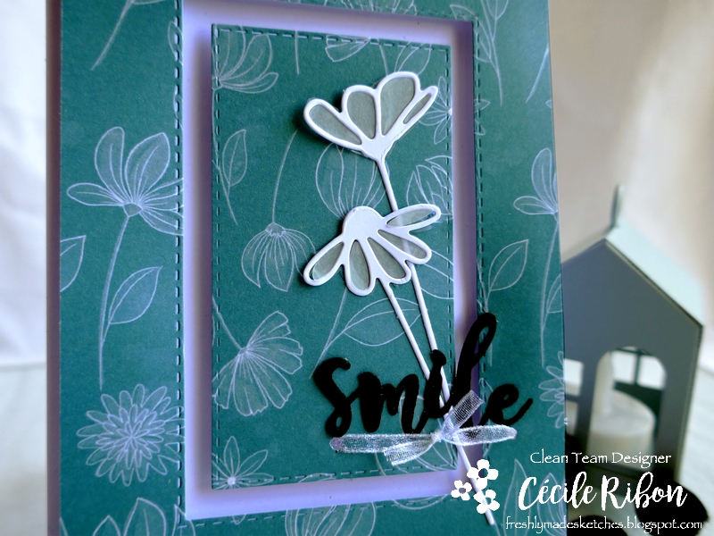 Carte FMS436 - P1170305