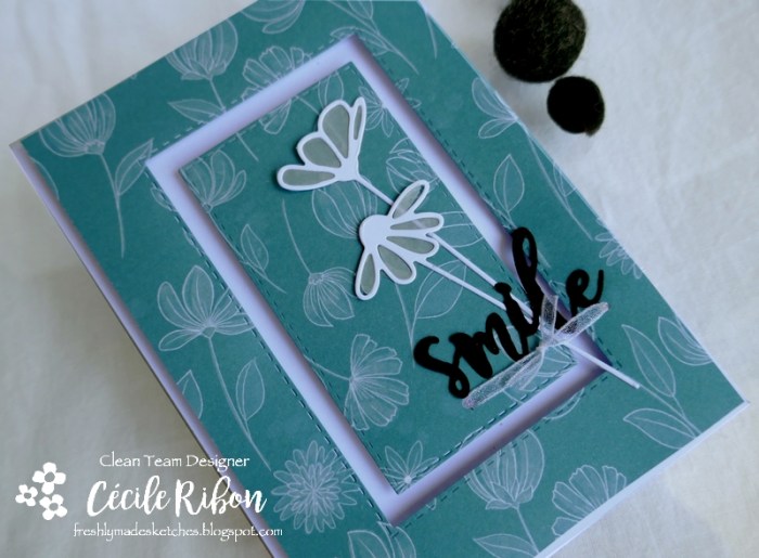 Carte FMS436 - P1170320