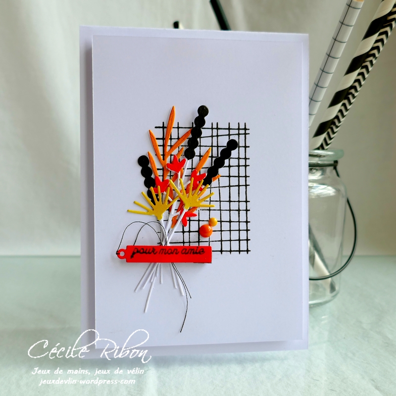 Carte JUGS537 - P1170339