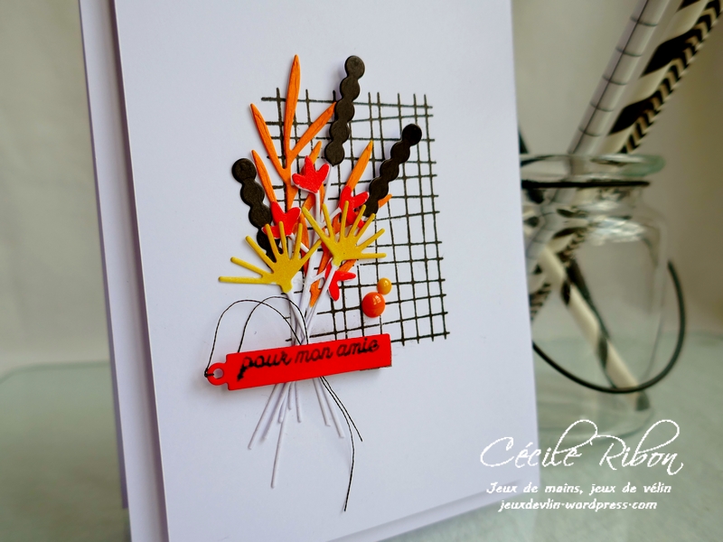 Carte JUGS537 - P1170340