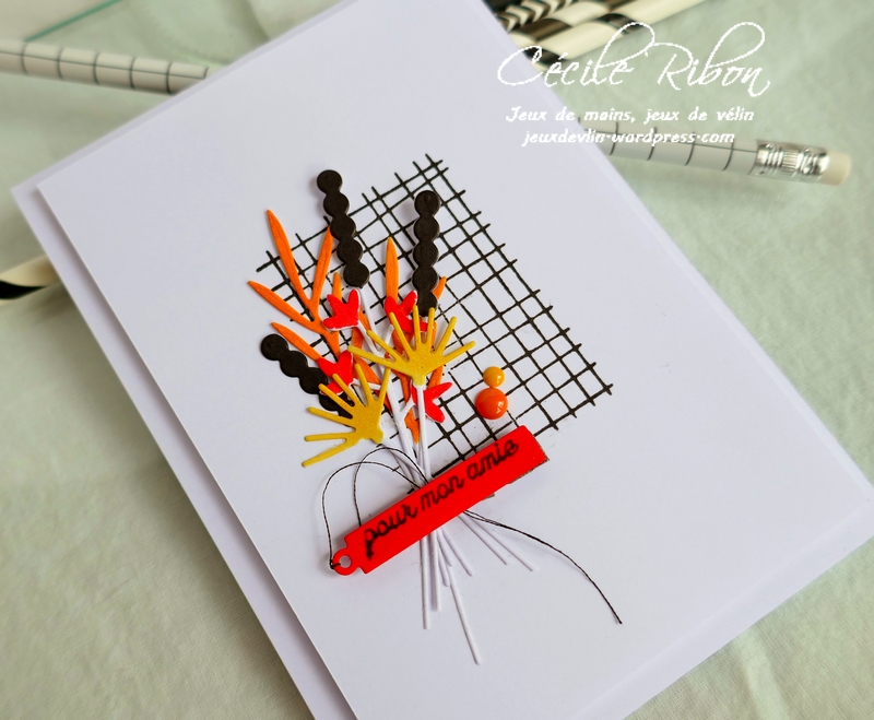 Carte JUGS537 - P1170351