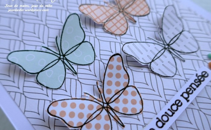 JUST US Girls #538 –&nbsp;Wild-card.