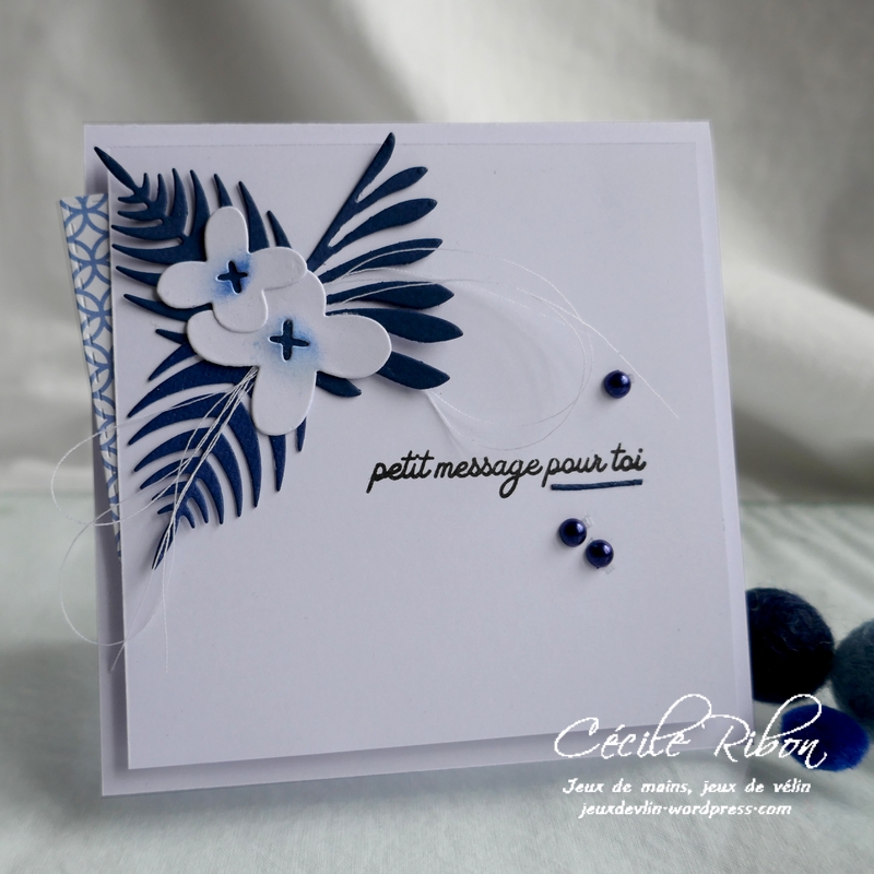 Carte CBBB34 - P1180227