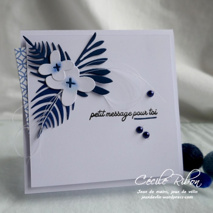 Carte CBBB34 - P1180227