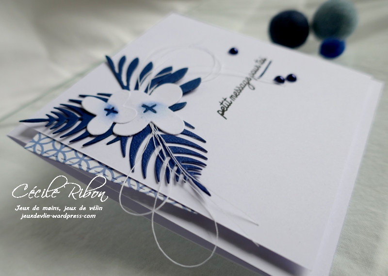 Carte CBBB34 - P1180234