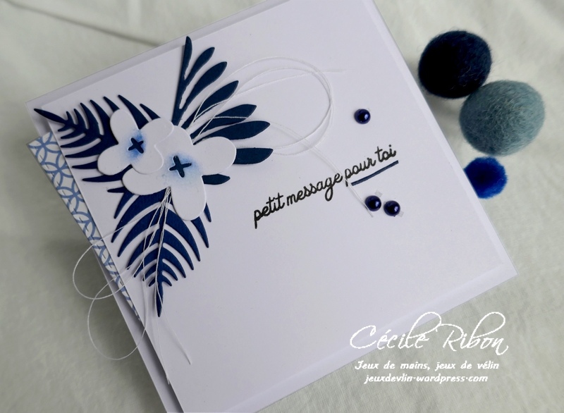 Carte CBBB34 - P1180239