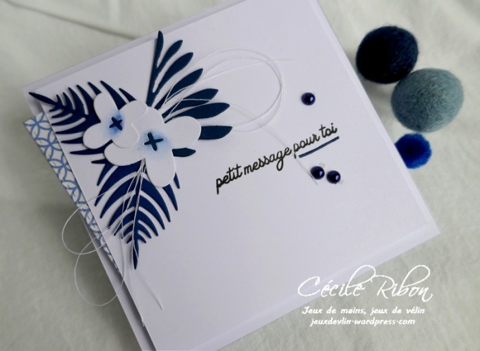 Carte CBBB34 - P1180239