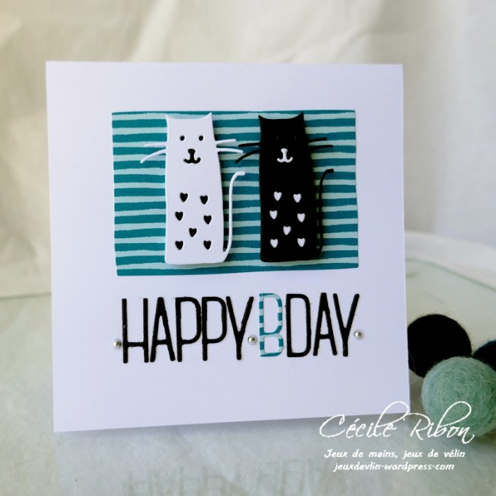 Carte CTD595 - P1170596