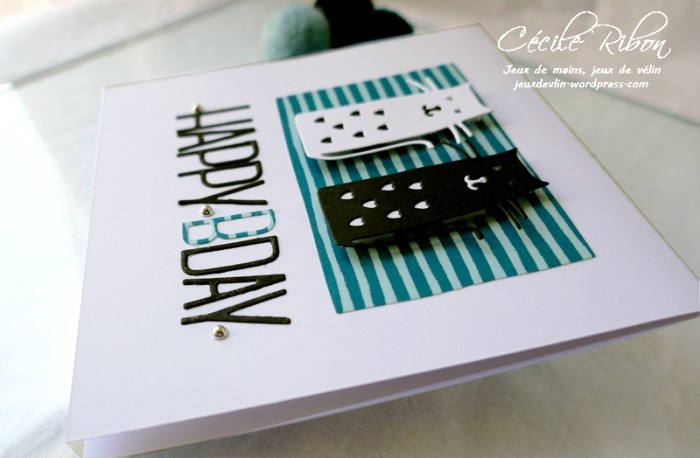 Carte CTD595 - P1170604