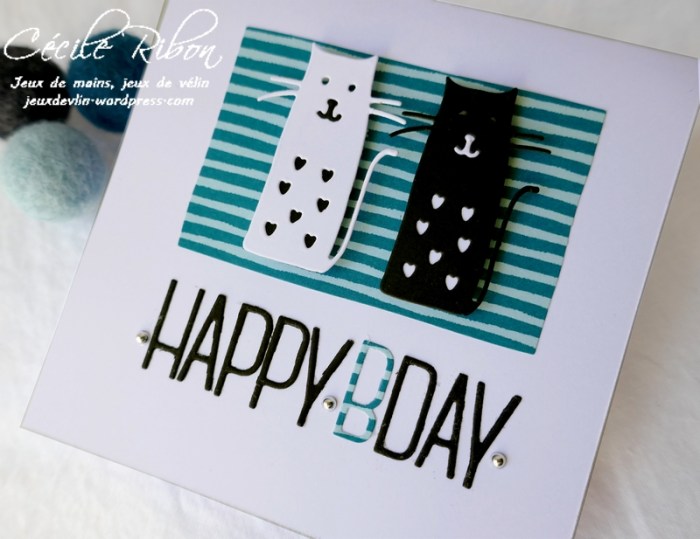 carte CTD595 - P1170611