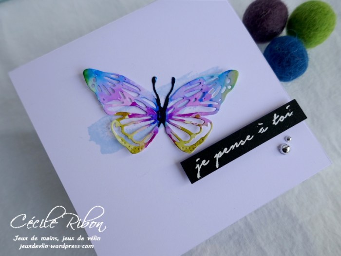 Carte CTD597 - P1170999