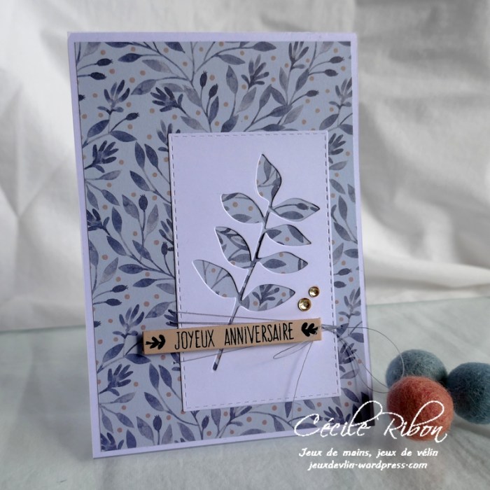 Carte CTS375 - P1170787