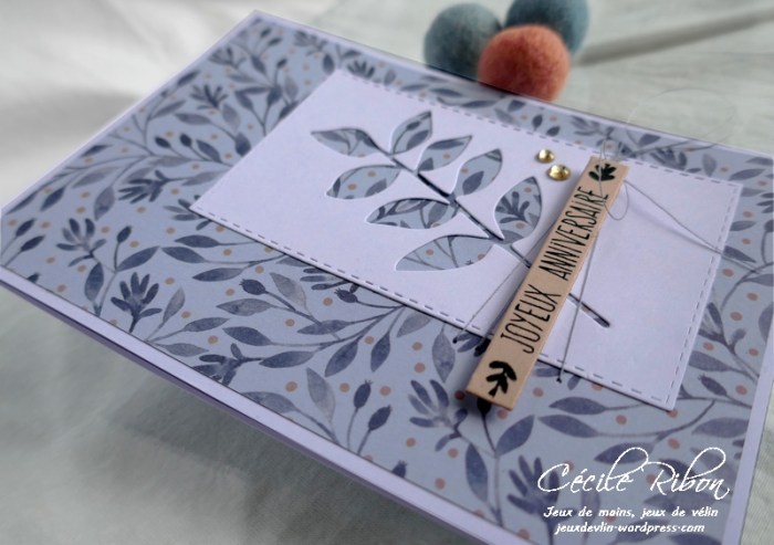 Carte CTS375 - P1170791