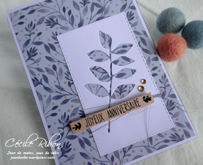 Carte CTS375 - P1170799