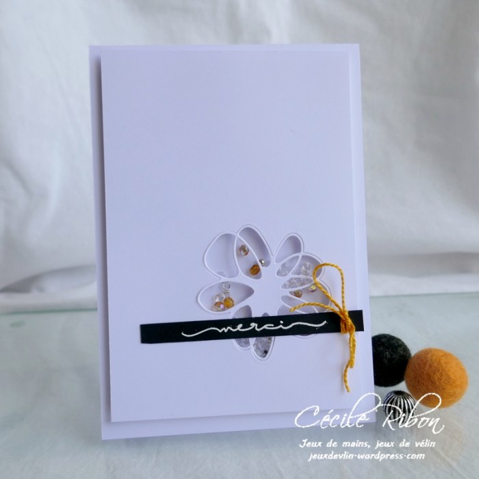 Carte CTS376 - P1180004