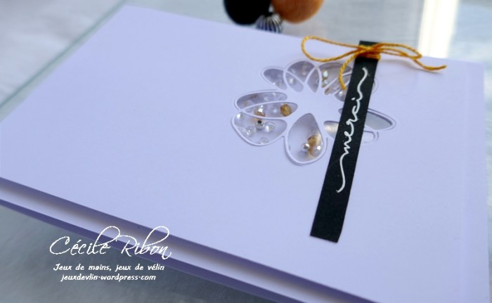 Carte CTS376 - P1180019