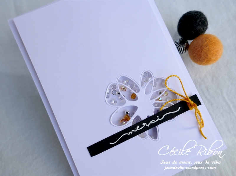 Carte CTS376 - P1180034