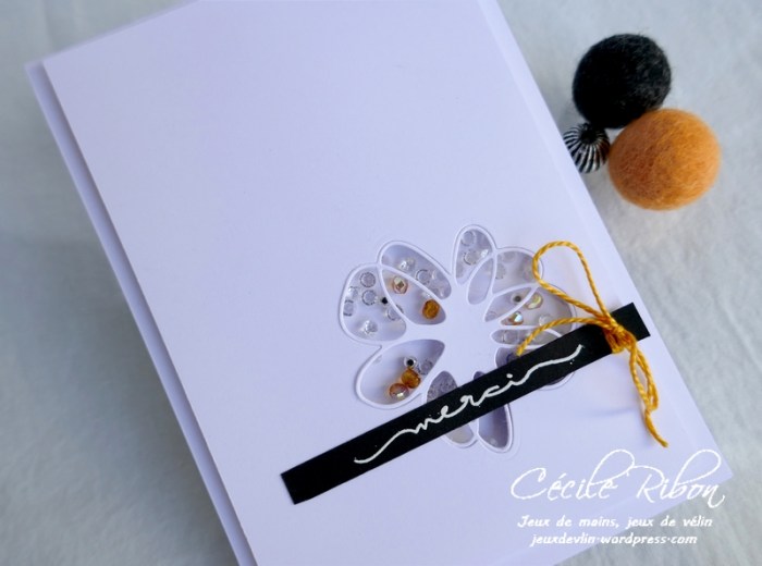 Carte CTS376 - P1180034