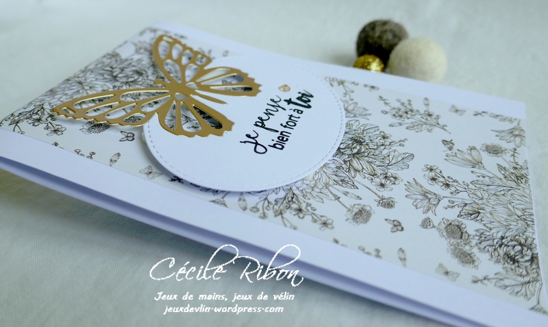 Carte CTS377 - P1180335