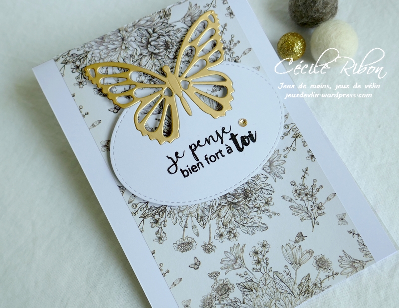 Carte CTS377 - P1180343