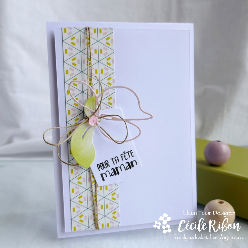 Carte FMS438 - P1170640