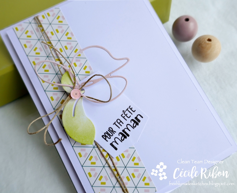 Carte FMS438 - P1170663